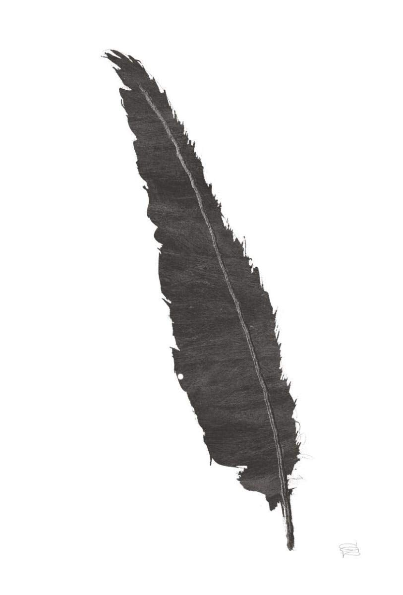 Black Feather VI -Paper Art-42x62”