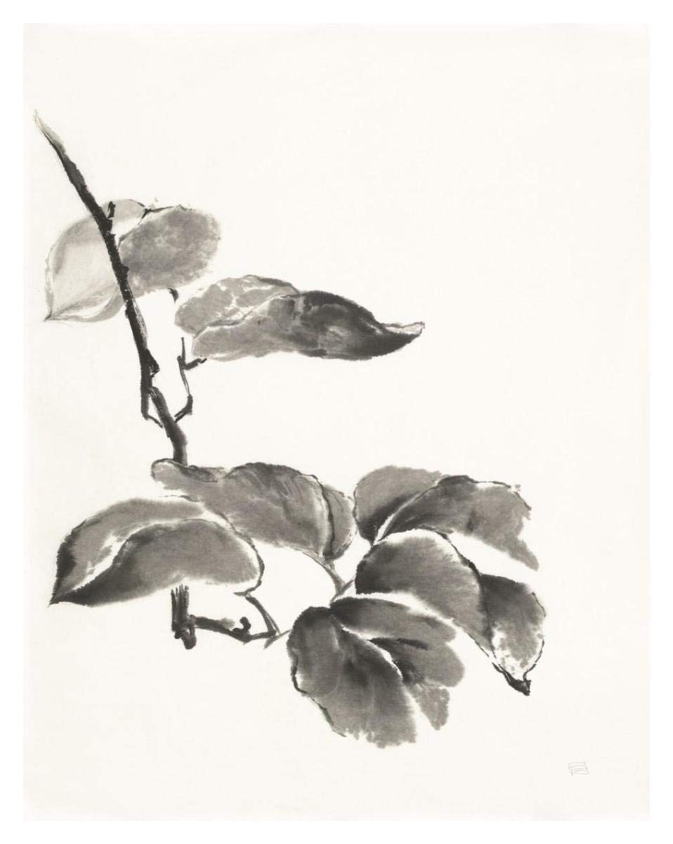 Sumi Kiwi -Paper Art-30x37”
