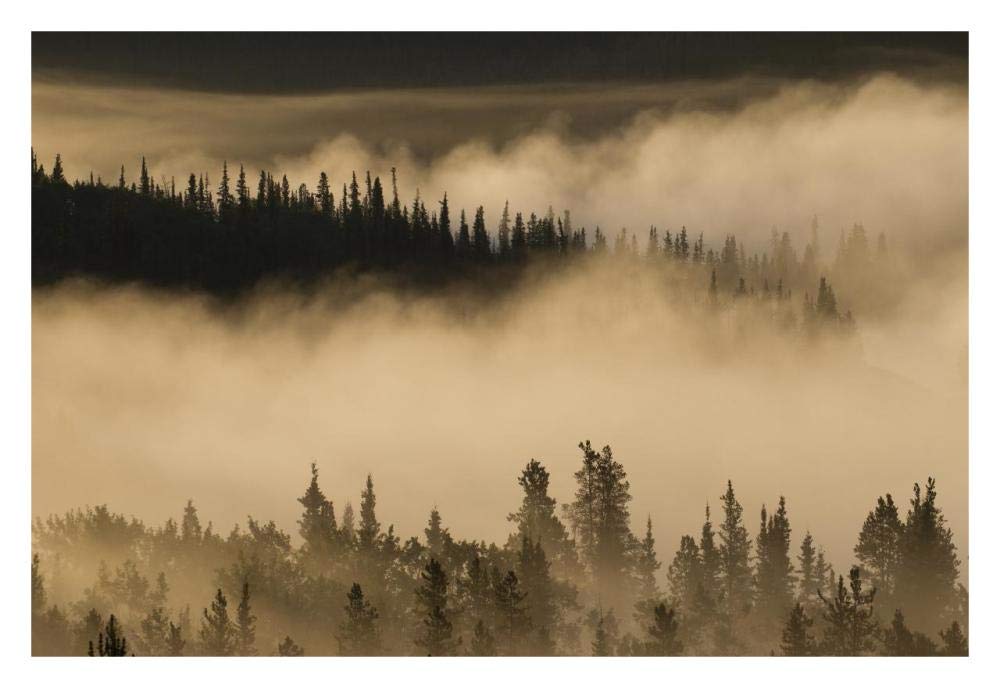 Morning fog near Swan Lake along the Alaska Highway, Yukon, Canada-Paper Art-32x22”
