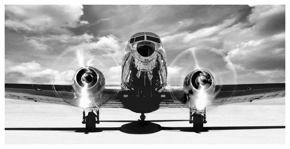 Airplaine taking off-Paper Art-62x32”