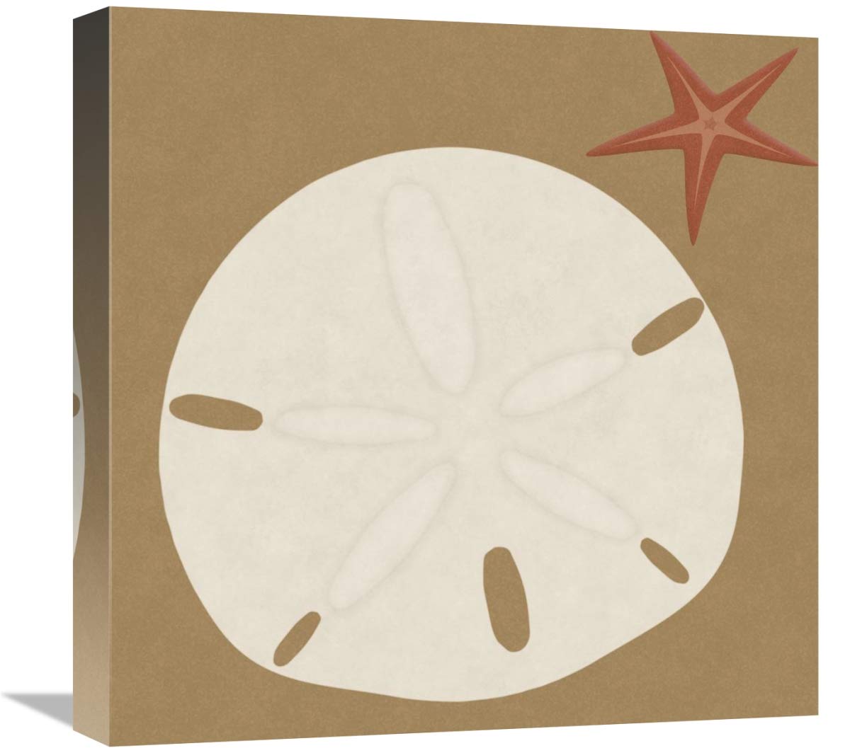 Summer Fun: Sand Dollar-Canvas Art-18x18”