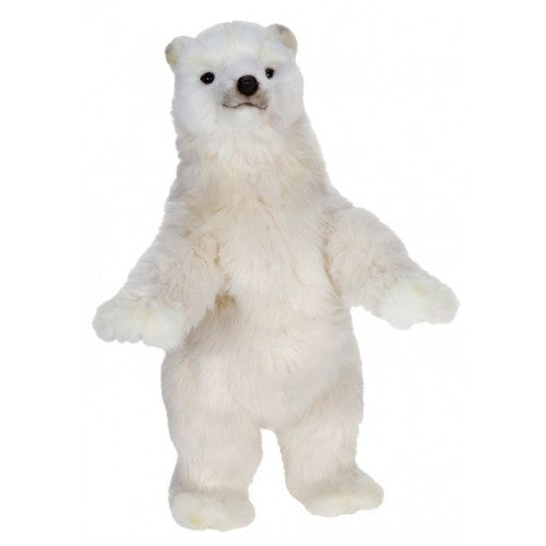 Polar Cub Med 2Ft 19''