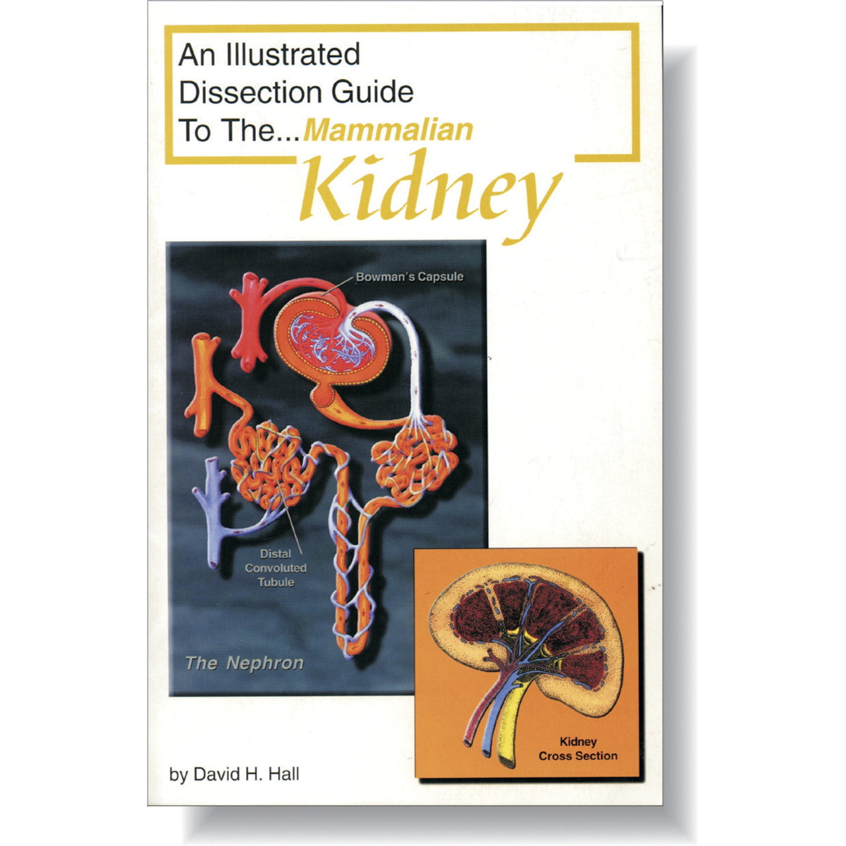 Frey Scientific Mini-Guide To Mammalian Kidney Dissection
