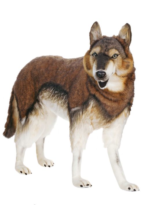 Wolf Timber Standing 40'' L