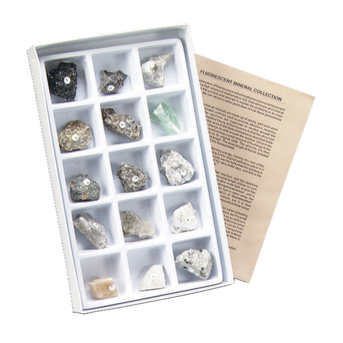 Geoscience Intro To Fluorescent Minerals Collection, Assorted, Set Of 15
