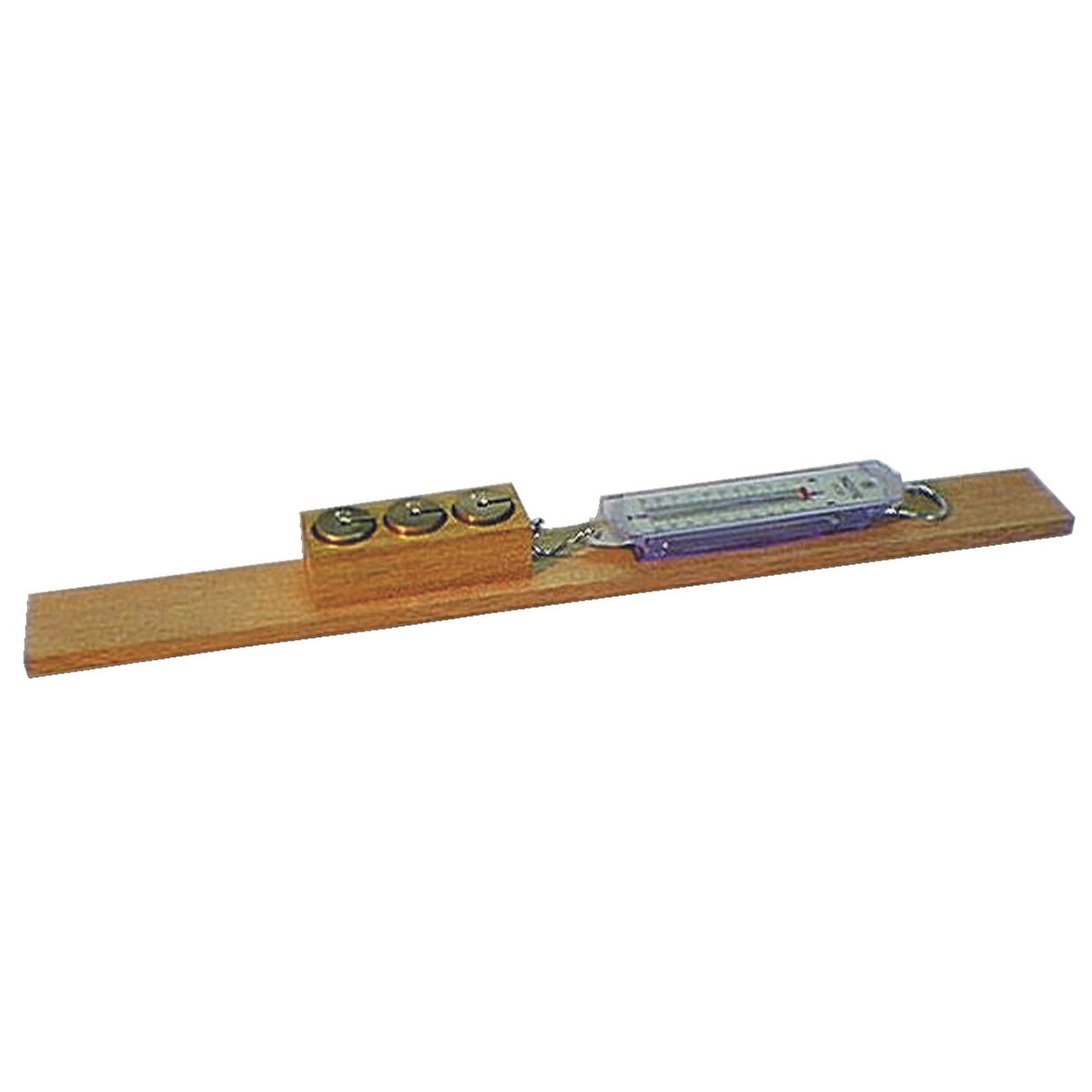Frey Scientific Frictional Apparatus