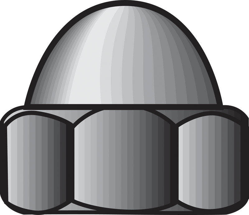 Nut Cap 10-24 Ss 100Pk (Pack Of 1)