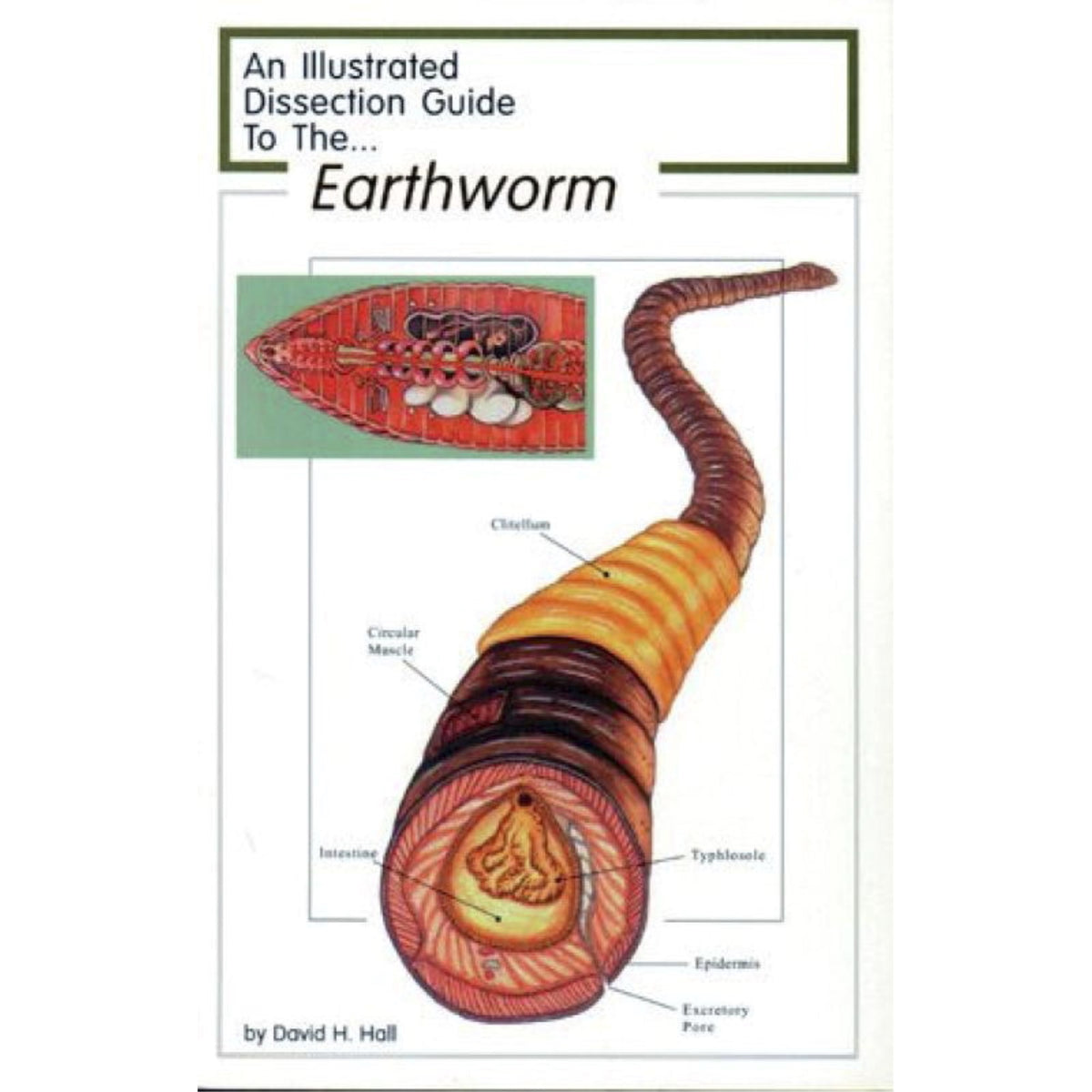 Frey Scientific Mini-Guide To Earthworm Dissection, Paperback, 8 Pages