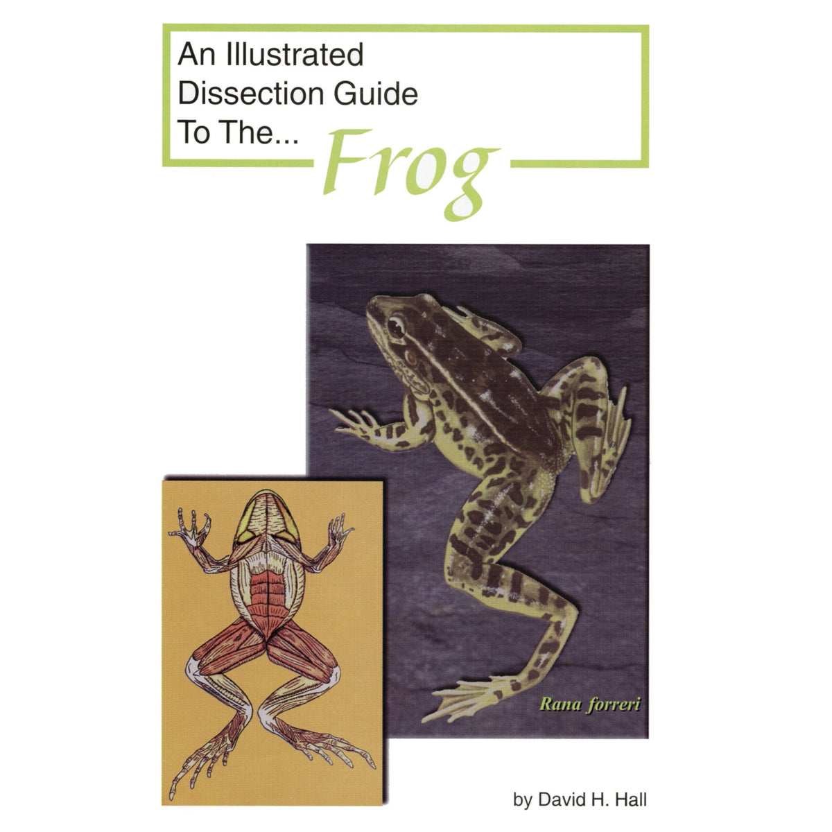 Frey Scientific Mini-Guide To Frog Dissection, Paperback, 16 Pages