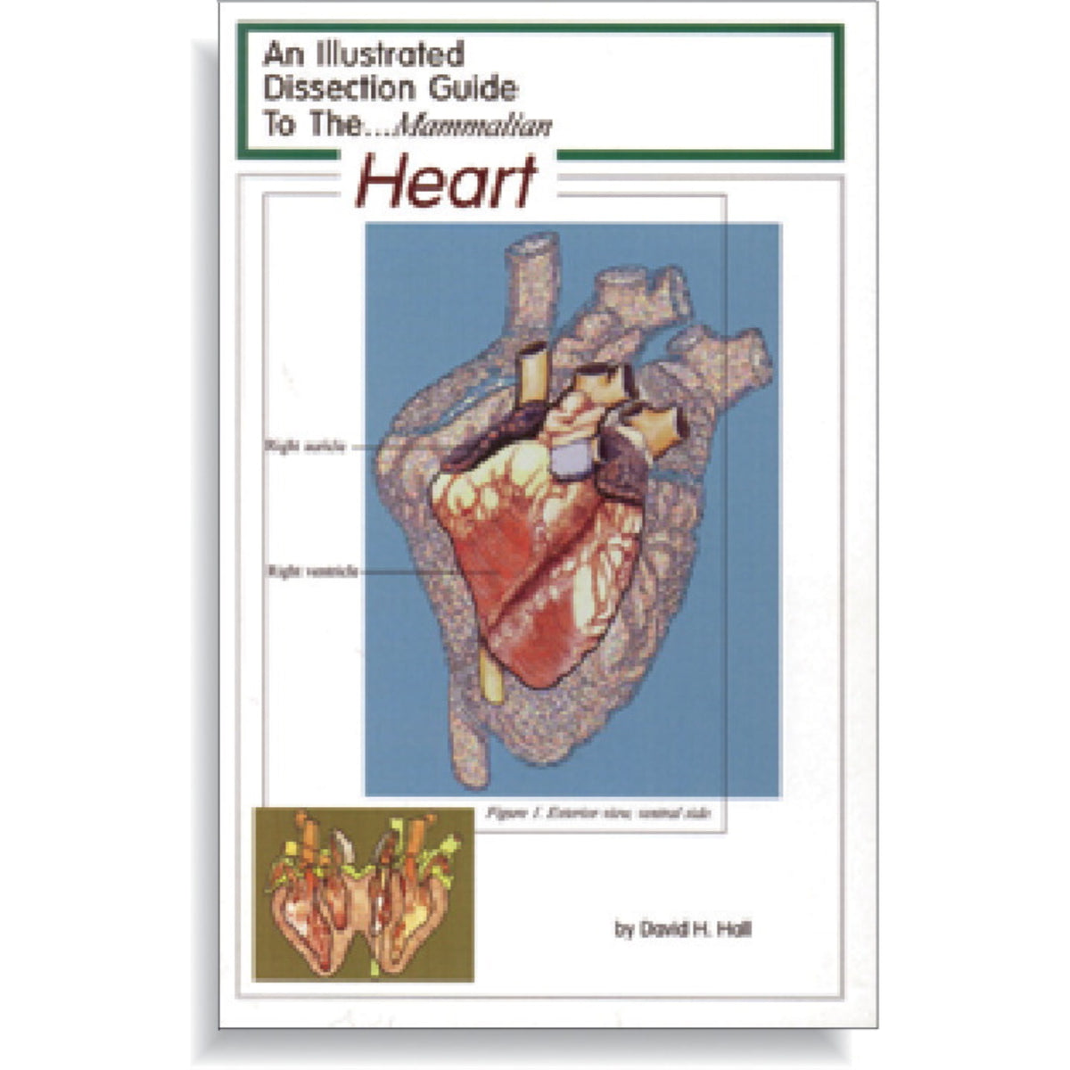 Frey Scientific Mini-Guide To Mammalian Heart Dissection, Paperback, 10 Pages
