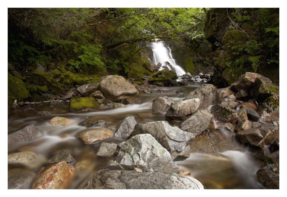 Unnamed waterfall along South Tongass Highway, Ketchikan, Alaska-Paper Art-38x26”