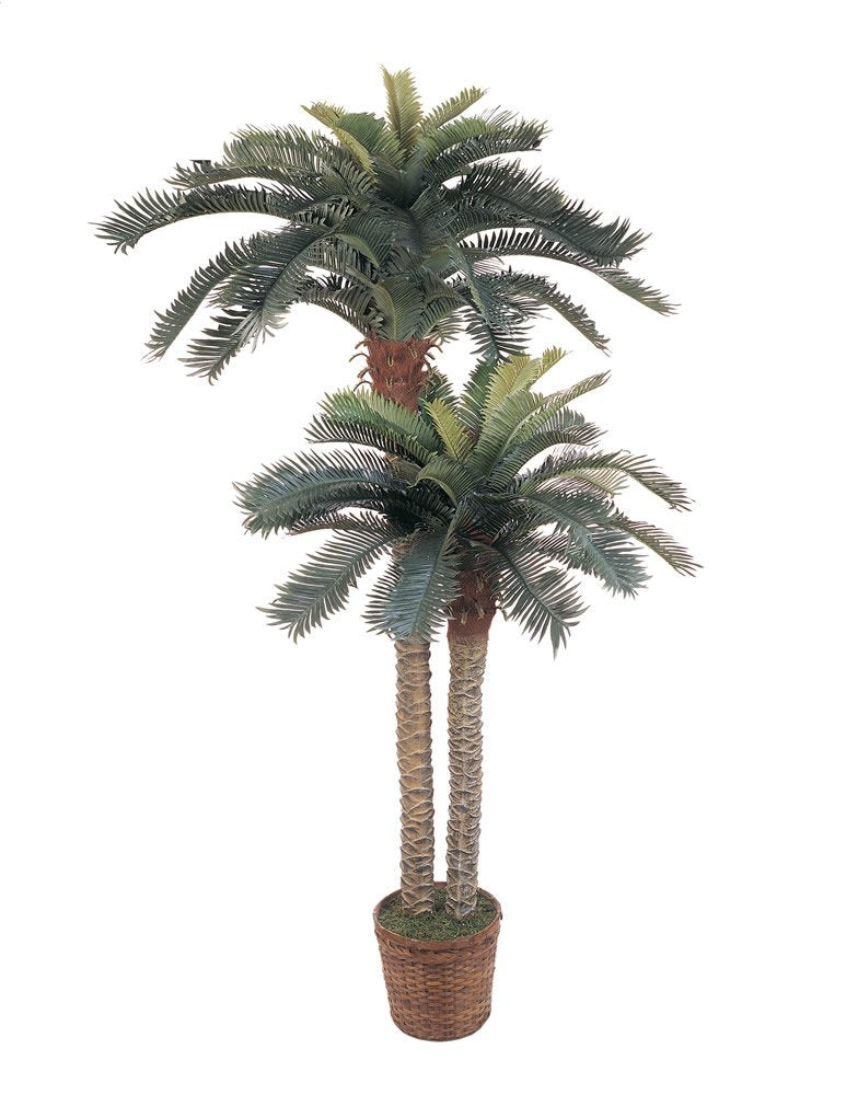 6 & 4 Sago Palm Double Potted Silk Tree
