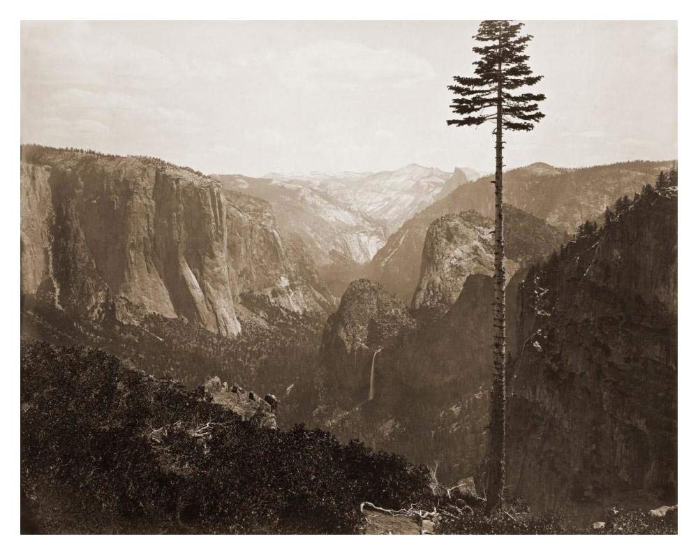 Yosemite Valley from the Best General View, 1866-Paper Art-18x14”