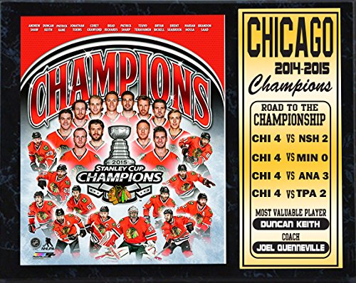 12x15 Stat Plaque - 2015 Stanley Cup Champions Chicago Blackhawks