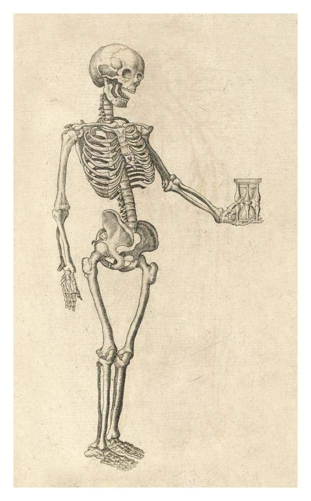 Human Skeleton with Hourglass-Paper Art-24x38”