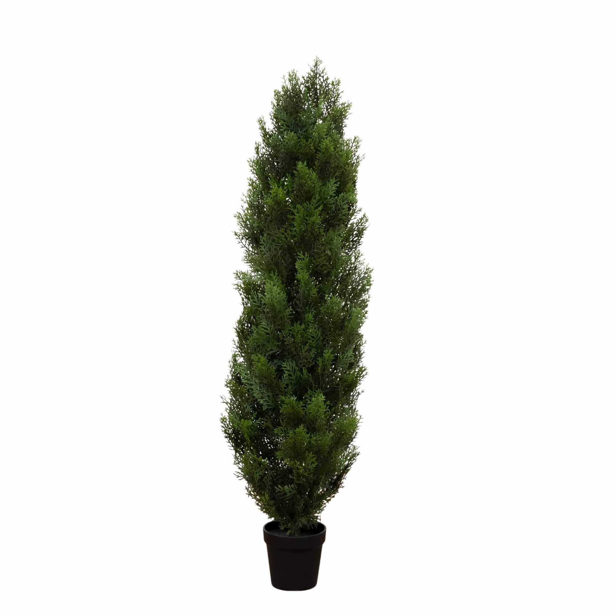 4 Cedar Tree Silk Tree (In-door/Out-door)