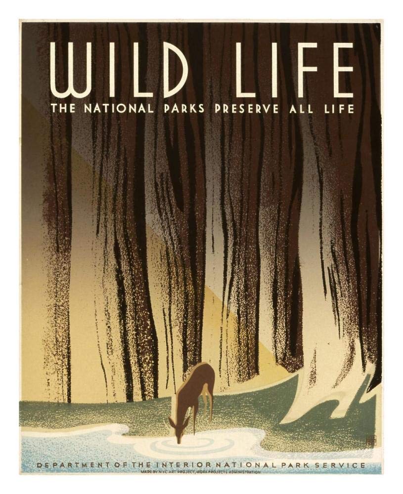 Wild Life; The National Parks Preserve All Life, ca. 1936-1940-Paper Art-22x26”
