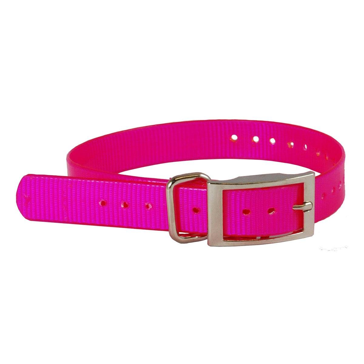 The Buzzards Roost Collar Strap 1 Pink 1″ x 24″
