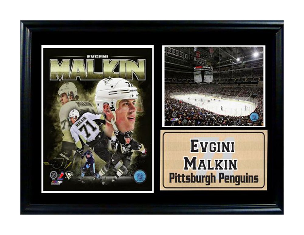 12x18 Photo Stat Frame - Evgeni Malkin Pittsburgh Penguins