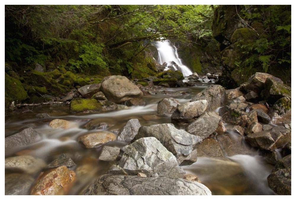 Unnamed waterfall along South Tongass Highway, Ketchikan, Alaska-Paper Art-62x42”