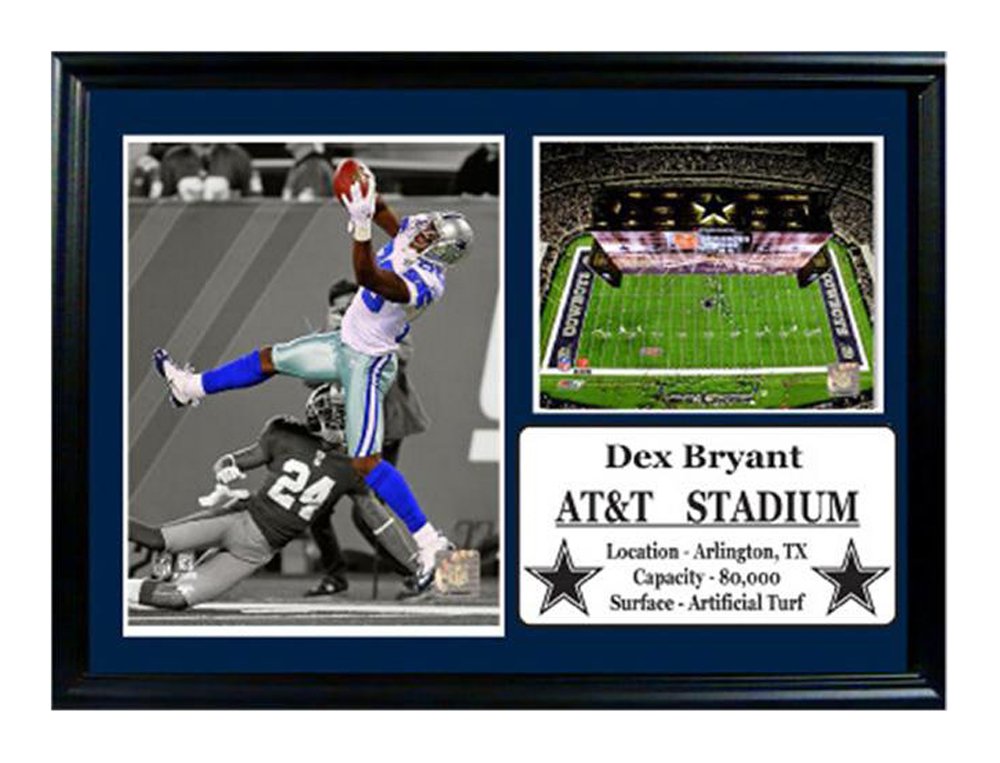 12x18 Photo Stat Frame - Dez Bryant Dallas Cowboys