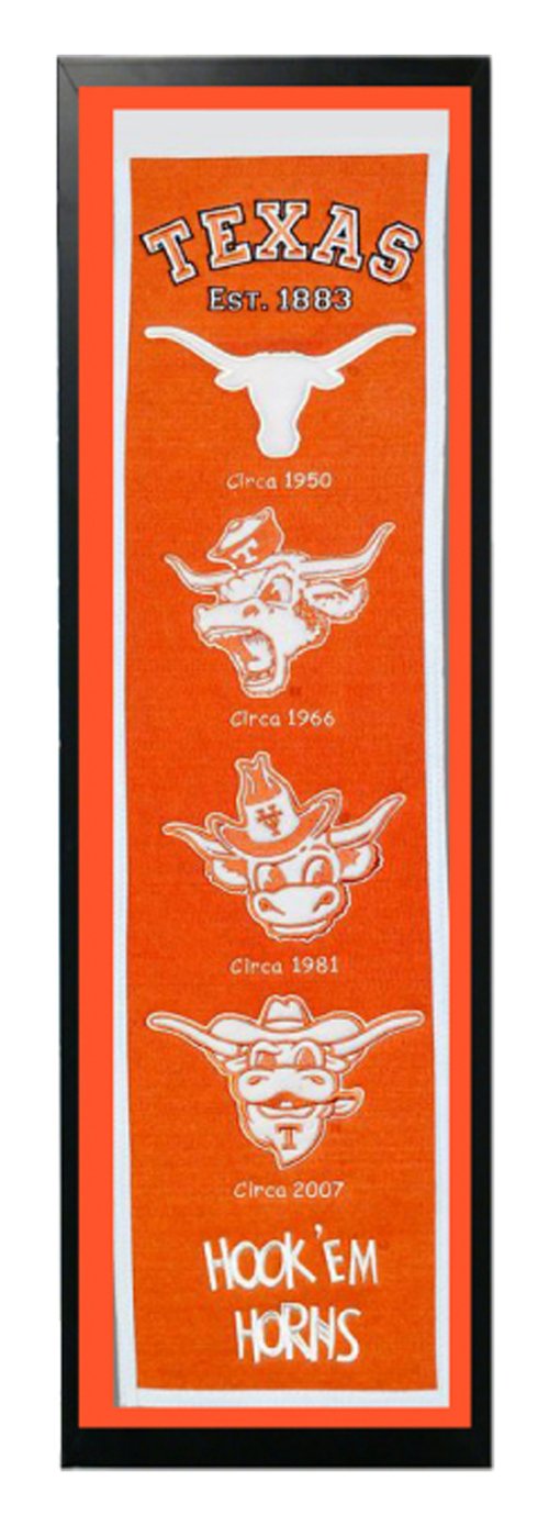 14x37 Banner Frame - Texas