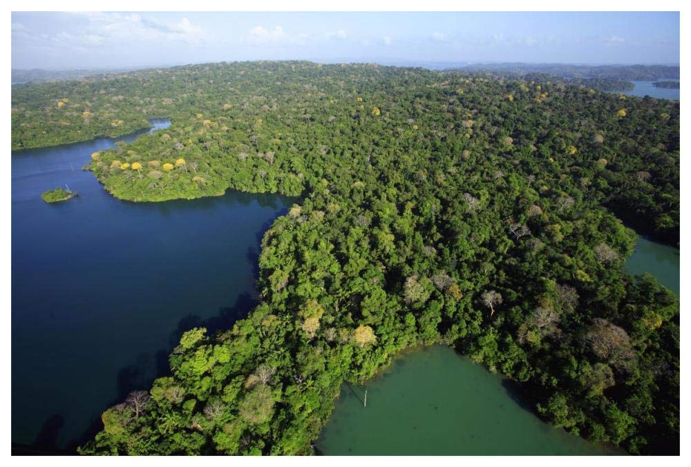 Aerial view of the Canal Zone, Barro Colorado Island, Panama-Paper Art-62x42”