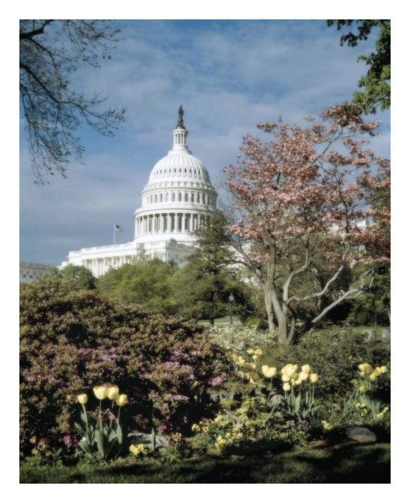 U.S. Capitol, Washington, D.C. Number 3 - Vintage Style Photo Tint Variant-Paper Art-22x26”