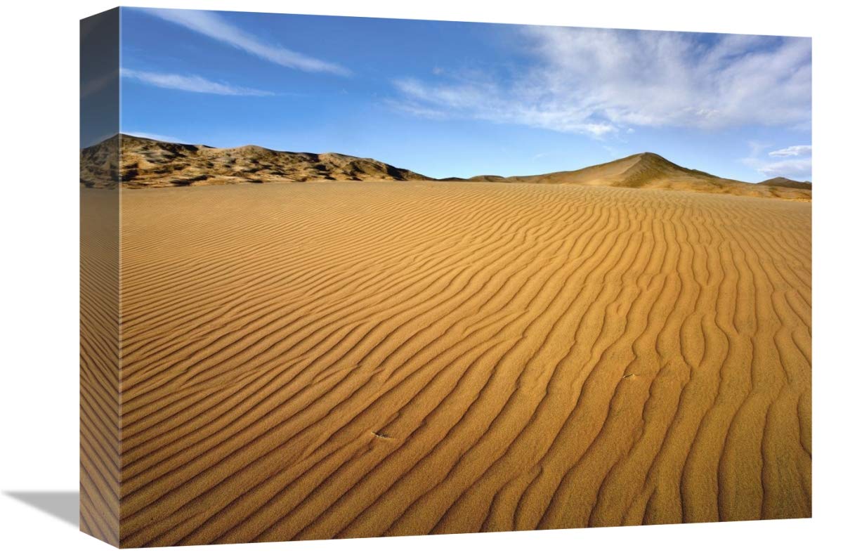 Wind ripples in Kelso Dunes, Mojave National Preserve, California-Canvas Art-16x12”