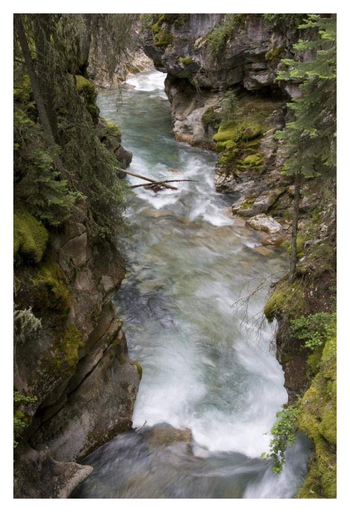 Yoho River flowing through chasm, Yoho National Park, British Columbia, Canada-Paper Art-14x20”