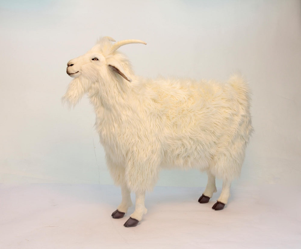 Cashmere Goat 42''
