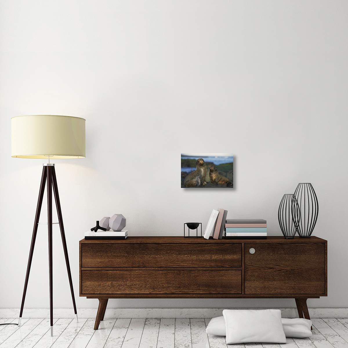 Galapagos Islands Fur Seal cow and pup, Cape Douglas, Galapagos Islands-Canvas Art-18x12”
