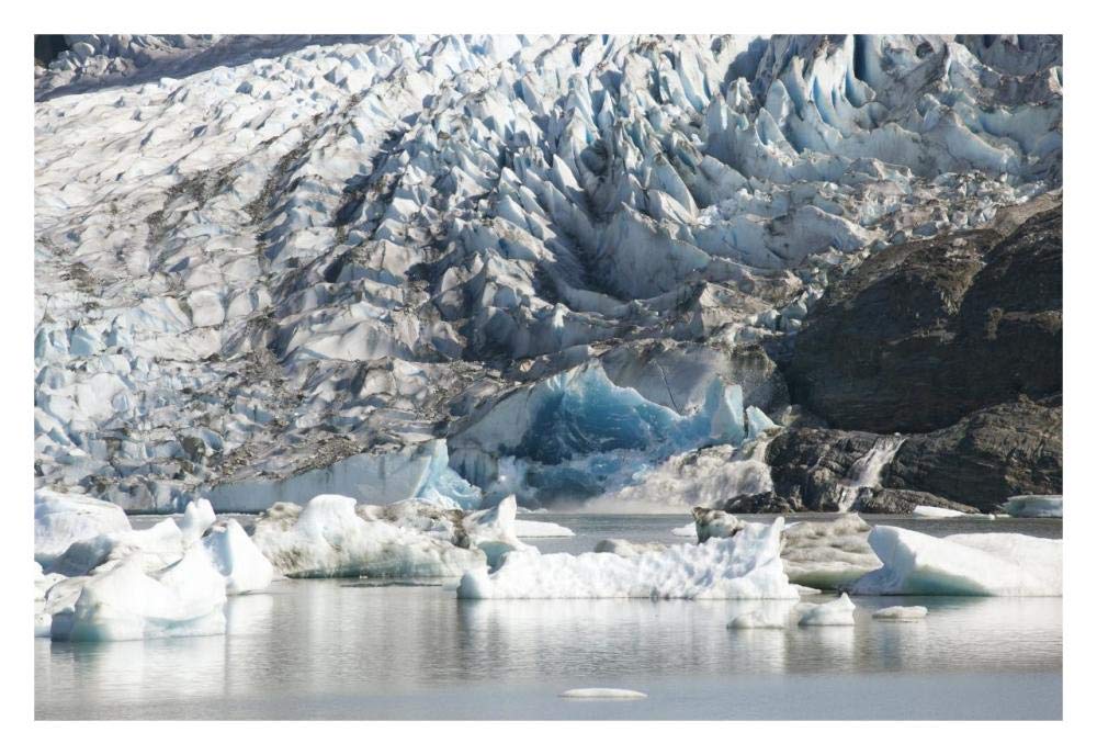 Terminal moraine and glacial lake, Mendenhall Glacier, Juneau, Alaska-Paper Art-32x22”