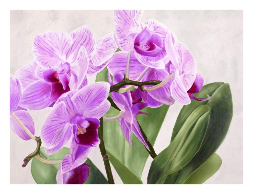 Orchidee selvagge-Paper Art-26x20”