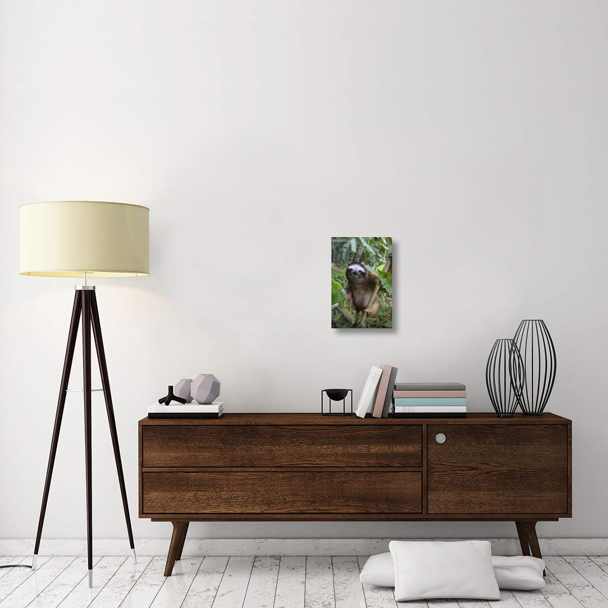 Brown-throated Three-toed Sloth male, Aviarios Sloth Sanctuary, Costa Rica-Canvas Art-12x18”