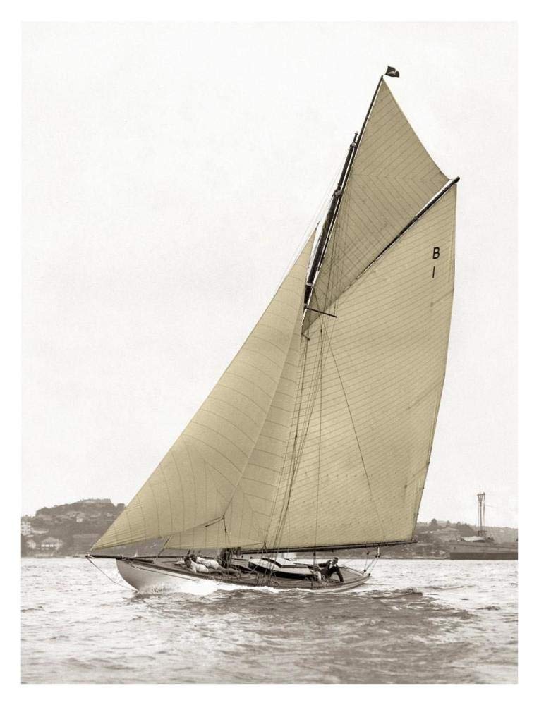 Victorian sloop on Sydney Harbour-Paper Art-26x34”