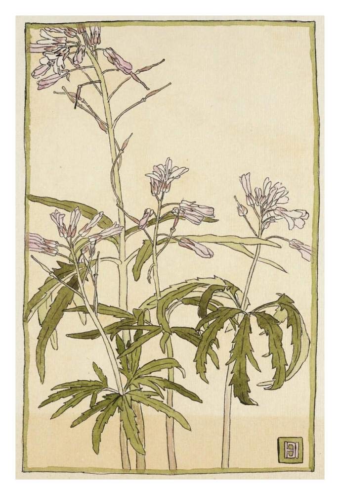Pink Flowers with Spiky Green Leaves-Paper Art-22x32”