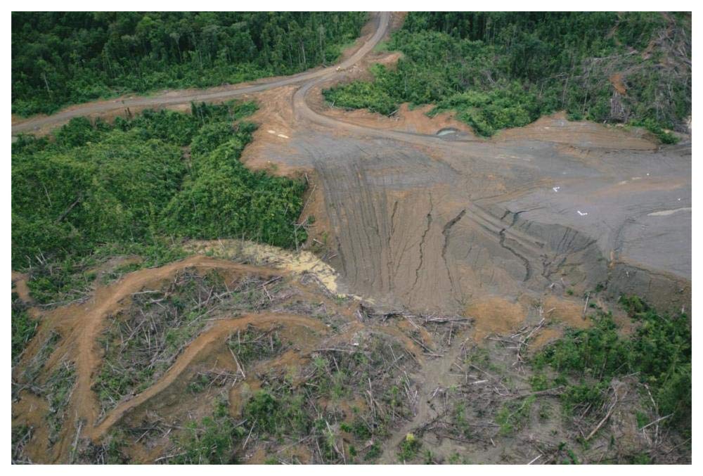 Rainforest logging activities near eastern boundary of the Kikori Delta, Papua New Guinea-Paper Art-62x42”