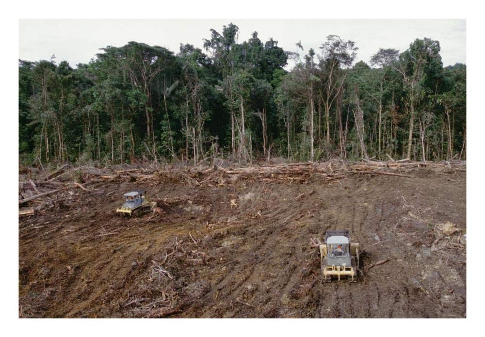 Clearing of tropical rainforest south of Lake Kutubu for Gobe oil camp, southern highlands, Papua New Guinea-Paper Art-26x18”
