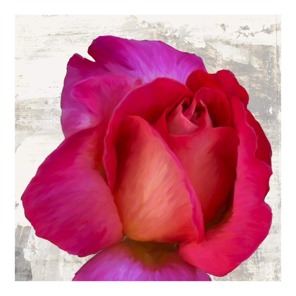 Spring Roses III-Paper Art-20x20”