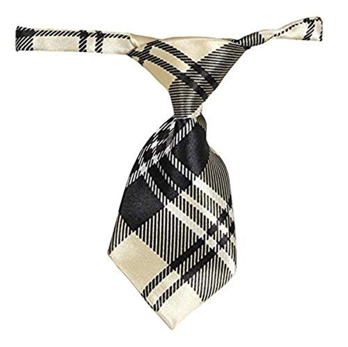 Fashionable and Trendy Dog Neck Tie