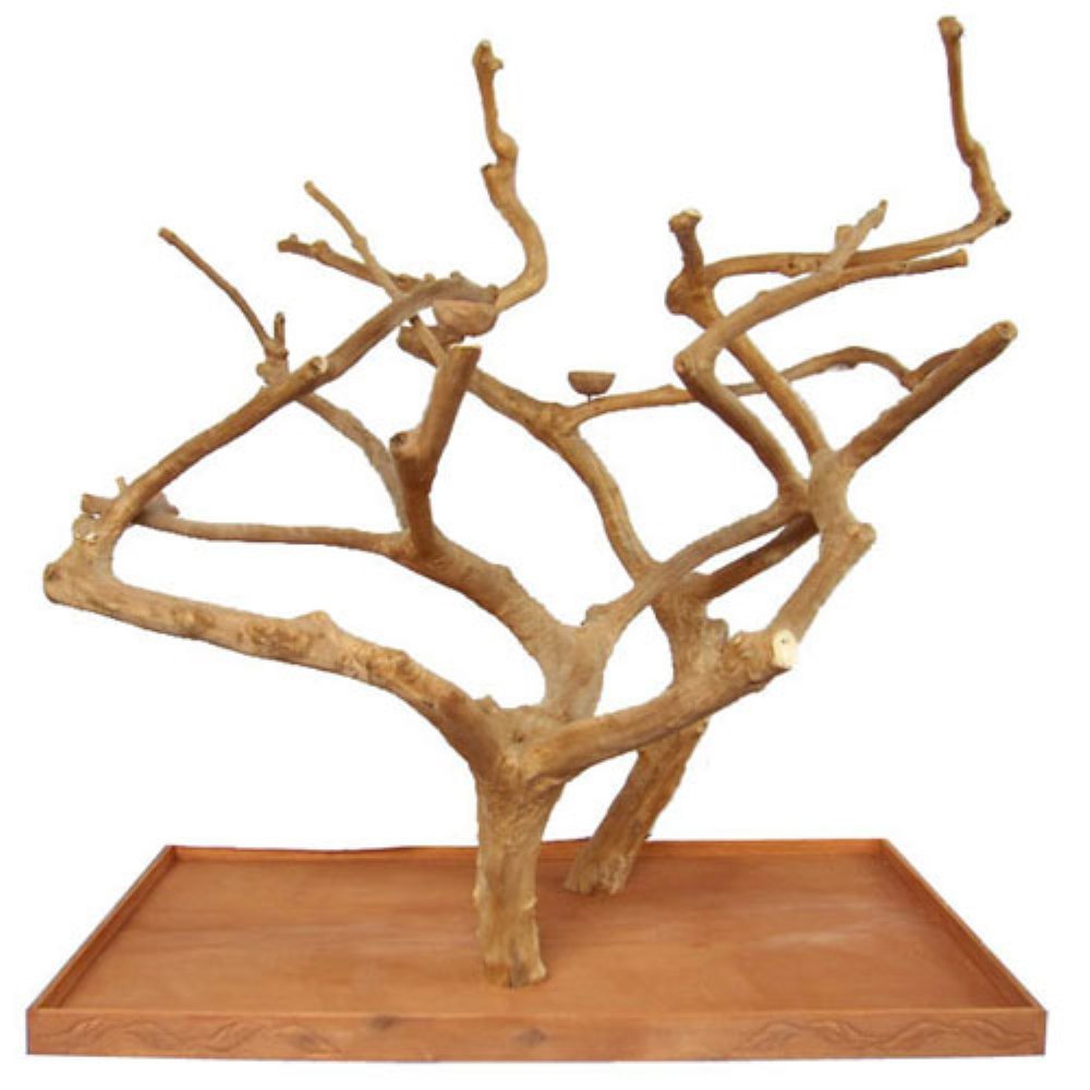 Large Double Java Tree 73????x 36????x 66????AE400L