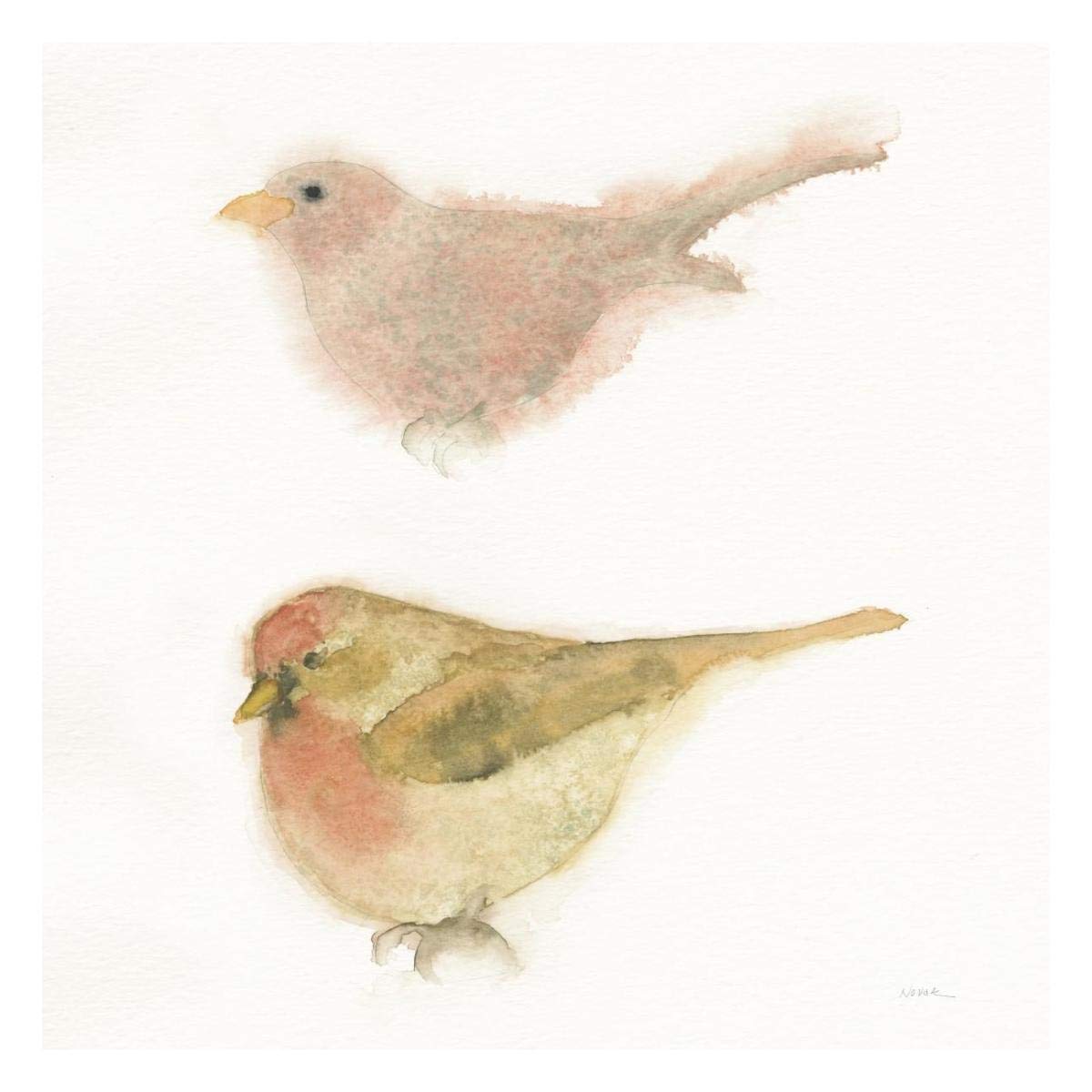 Watercolor Birds II Sq -Paper Art-26x26”