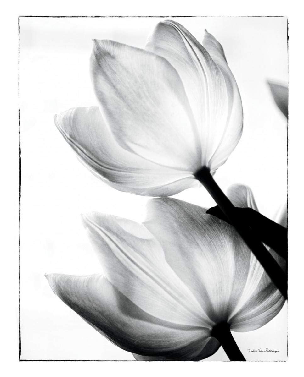 Translucent Tulips II -Paper Art-22x26”