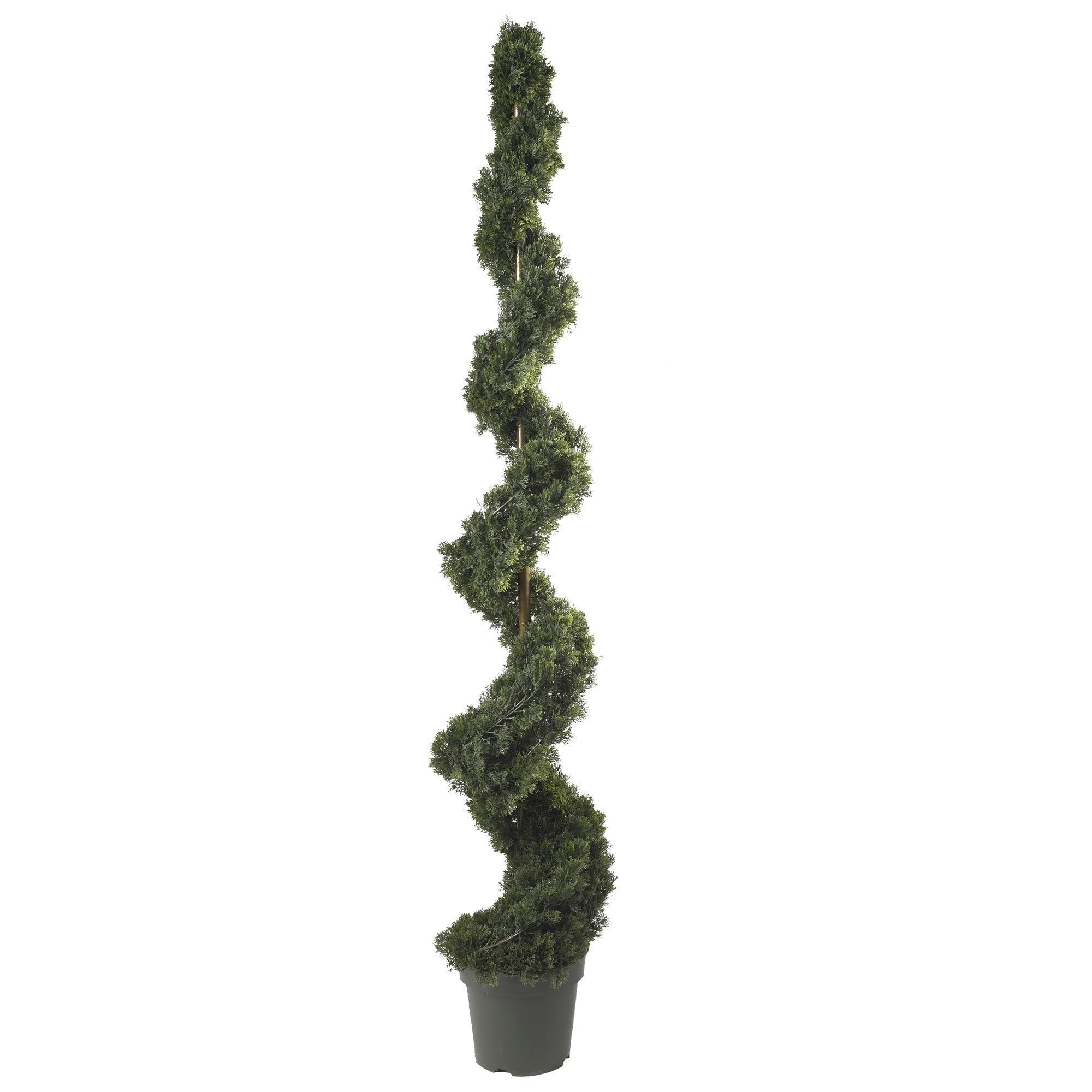 6 Cedar Spiral Silk Tree (In-door/Out-door)