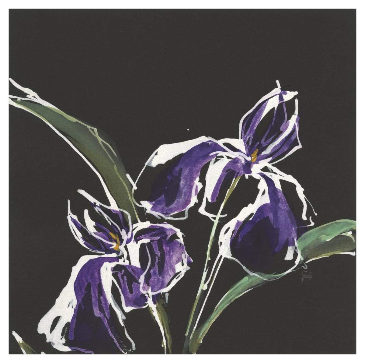 Iris on Black I -Paper Art-42x42”