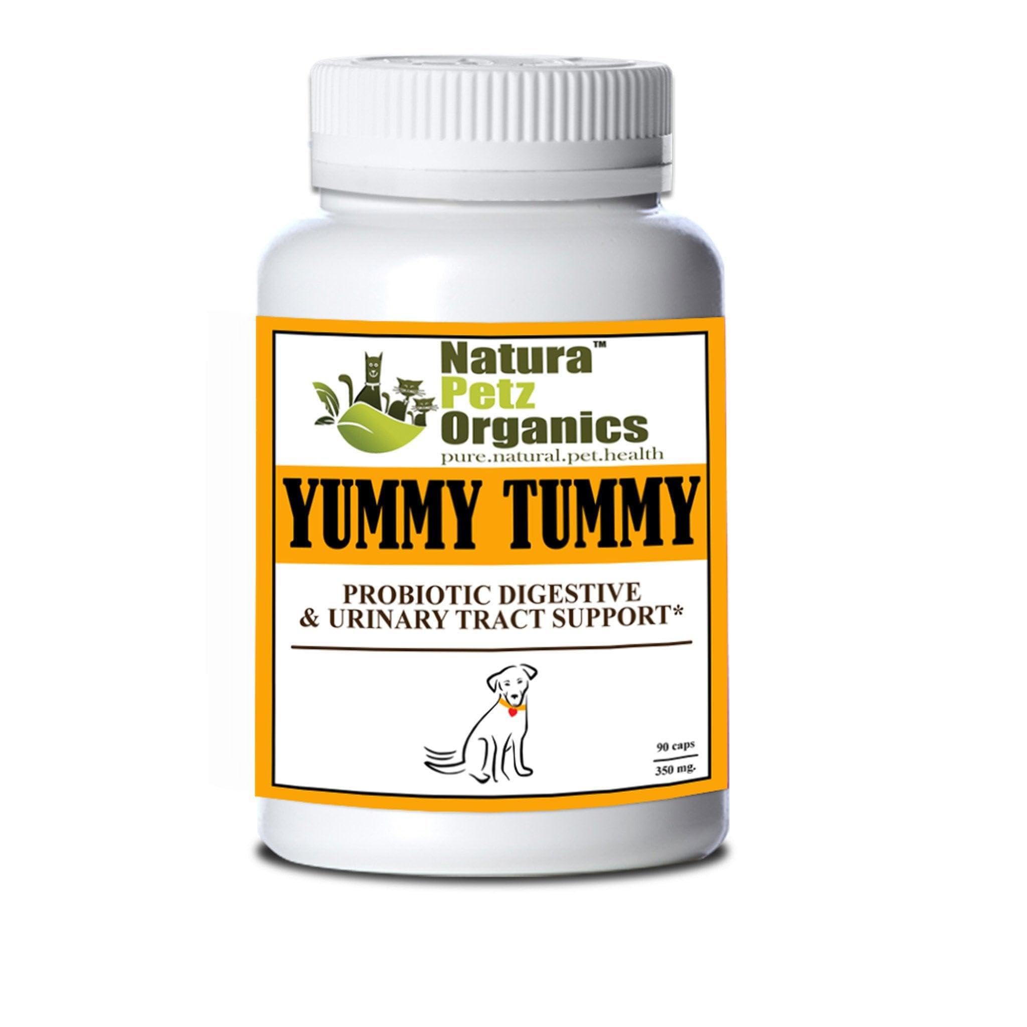 Probiotic Digestive, Bladder & Urinary Tract Support*