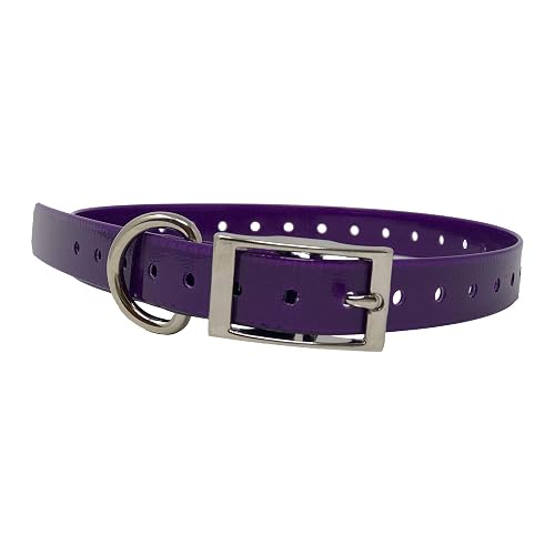 The Buzzards Roost Replacement Collar Strap 3/4 Purple 3/4” x 24”