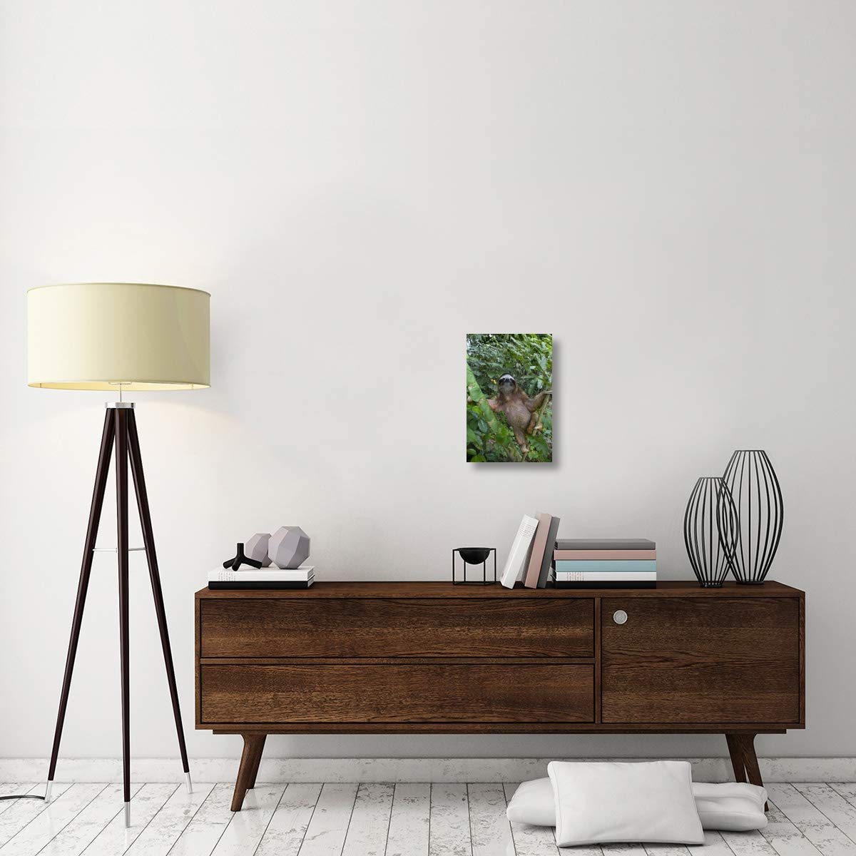 Brown-throated Three-toed Sloth male, Aviarios Sloth Sanctuary, Costa Rica-Canvas Art-12x18”