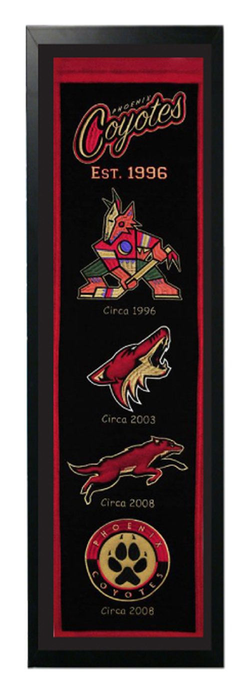 14x37 Banner Frame - Phoenix Coyotes